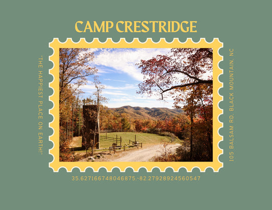 CC Stamp Postcard