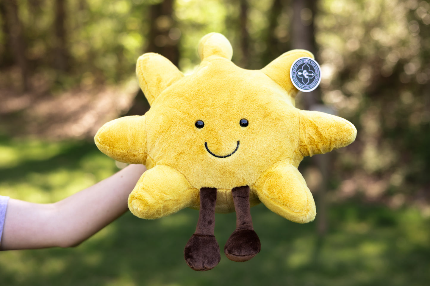 CC Sun Jelly Pet