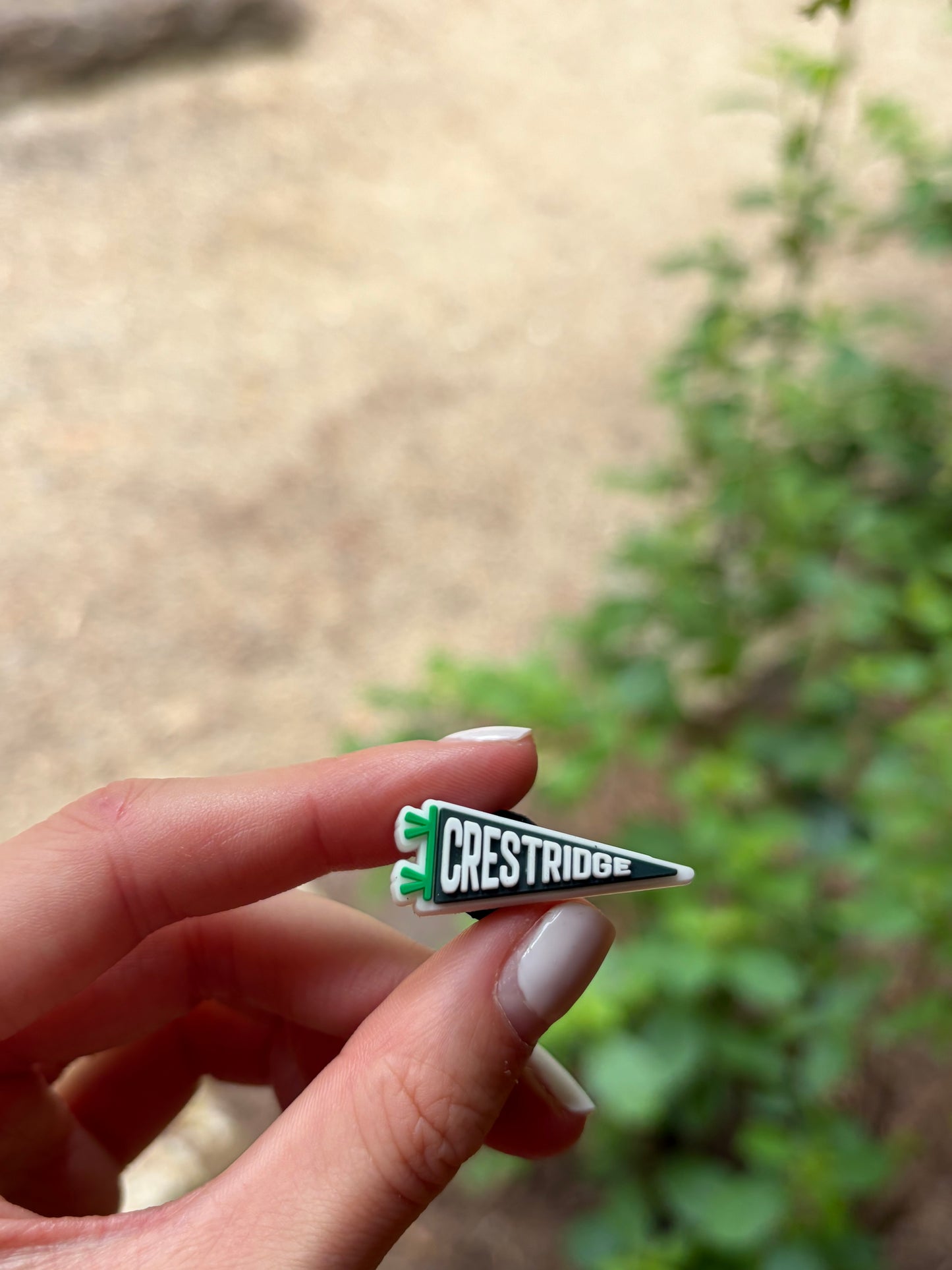 CC Croc Charm